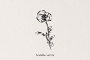 Flowers Vector Bundle, a Decorative Illustration by Little Gremlin (Thumbnail 5 of 9)