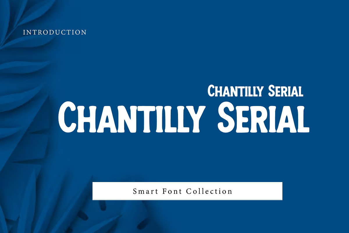 Chantilly serial, a Slab Serif Font by Wow Magic (Photo 1 of 2)