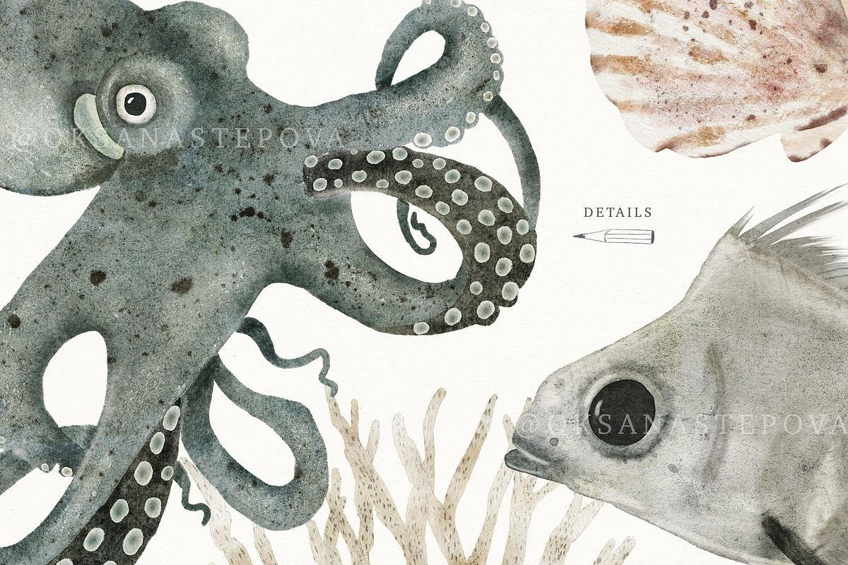 AQUATALES | 170+ elements, an Animal Illustration by Oksana Stepova (Photo 6 of 19)
