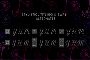 BLACK FRIDAY Delirio Font Family, a Script Font by graffistyling (Thumbnail 14 of 20)