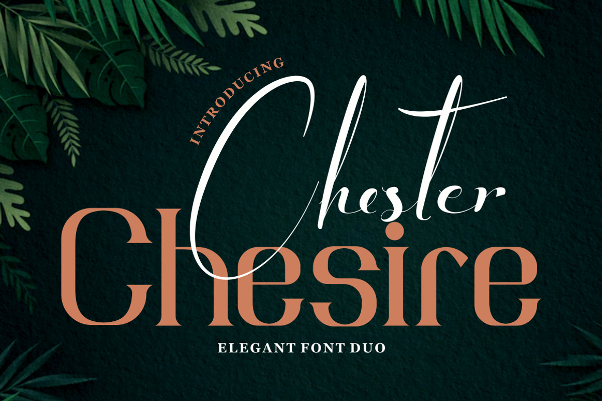Chester Chesire - Elegant Font Duo, a Font by PutraCetol Studio (Photo 1 of 13)