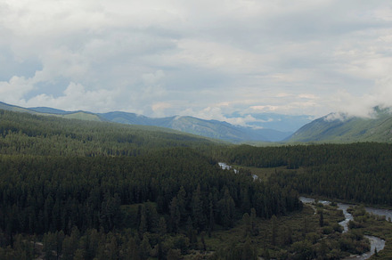 Forest and river in valley of Altai, a Nature Photo by TravelFlow