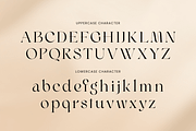 Riona - Luxury Swash Logo Font, a Serif Font by Sensatype (Thumbnail 10 of 12)