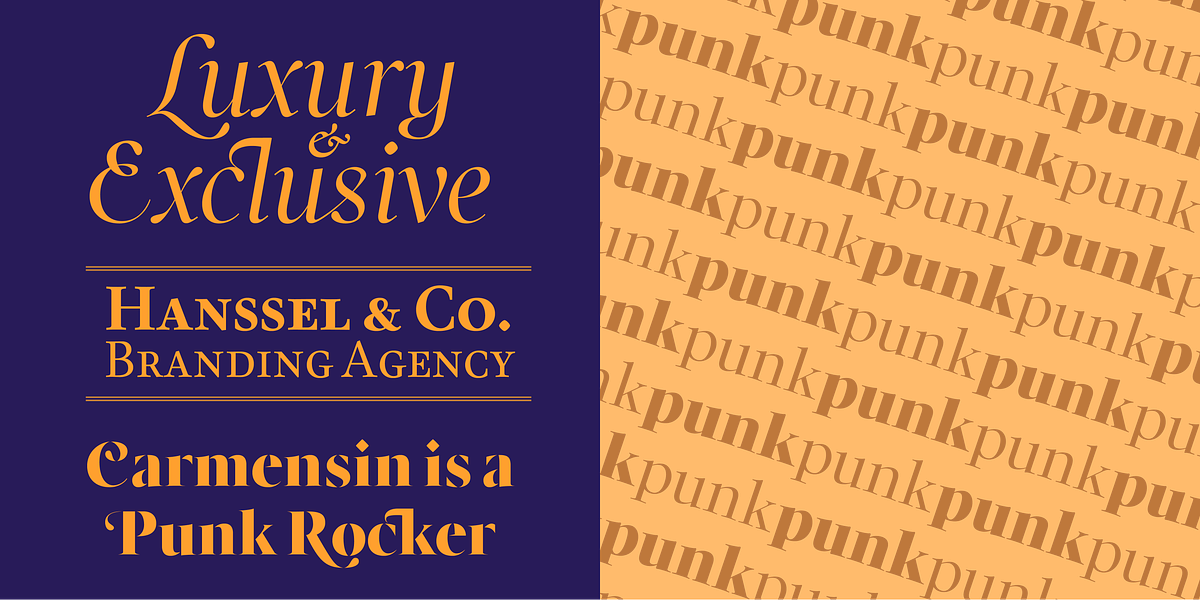 Carmensin, a Serif Font by Rafael Jordan (Photo 6 of 7)