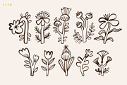 Quirky Florals Hand Drawn collection, an Object Illustration by Lena Nikolaeva (Thumbnail 3 of 12)