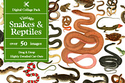 Vintage Snakes Digital Collage Pack, an Object Graphic by Collage Supply Co (Thumbnail 1 of 3)