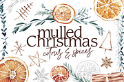 Dried Orange Christmas Spices, a Decorative Illustration by plaidGecko (Thumbnail 1 of 6)