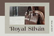 Silneva – Elegant Display Serif Font, a Serif Font by BrandSemut (Thumbnail 3 of 9)