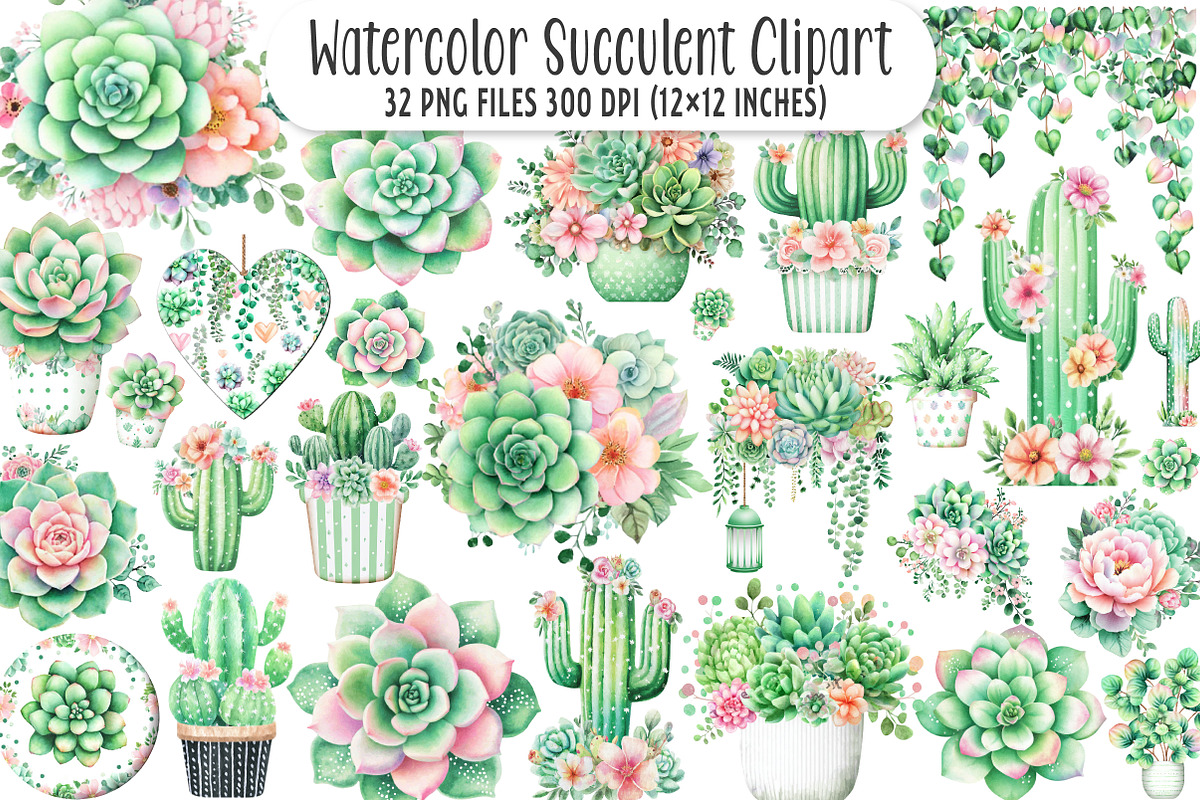 Watercolor Succulent Clipart, an Illustration by SinaCreation (Photo 1 of 7)