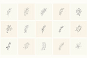 Hand Drawn Floral Elements. Frames, a Seasonal Illustration by Designwork (Thumbnail 12 of 22)