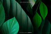 Riodinidae — Luxury Seamless Pattern, a Pattern Graphic by Designnina Shop (Thumbnail 13 of 14)