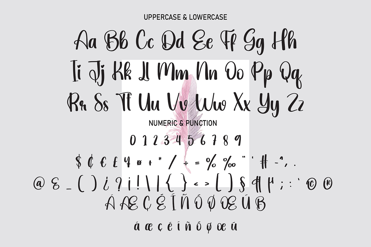 Staunch | Script Font, a Script Font by Scratchones (Photo 2 of 8)
