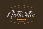 Awakening Gallop Modern Brush Font, a Script Font by stylishtype.co (Thumbnail 4 of 20)