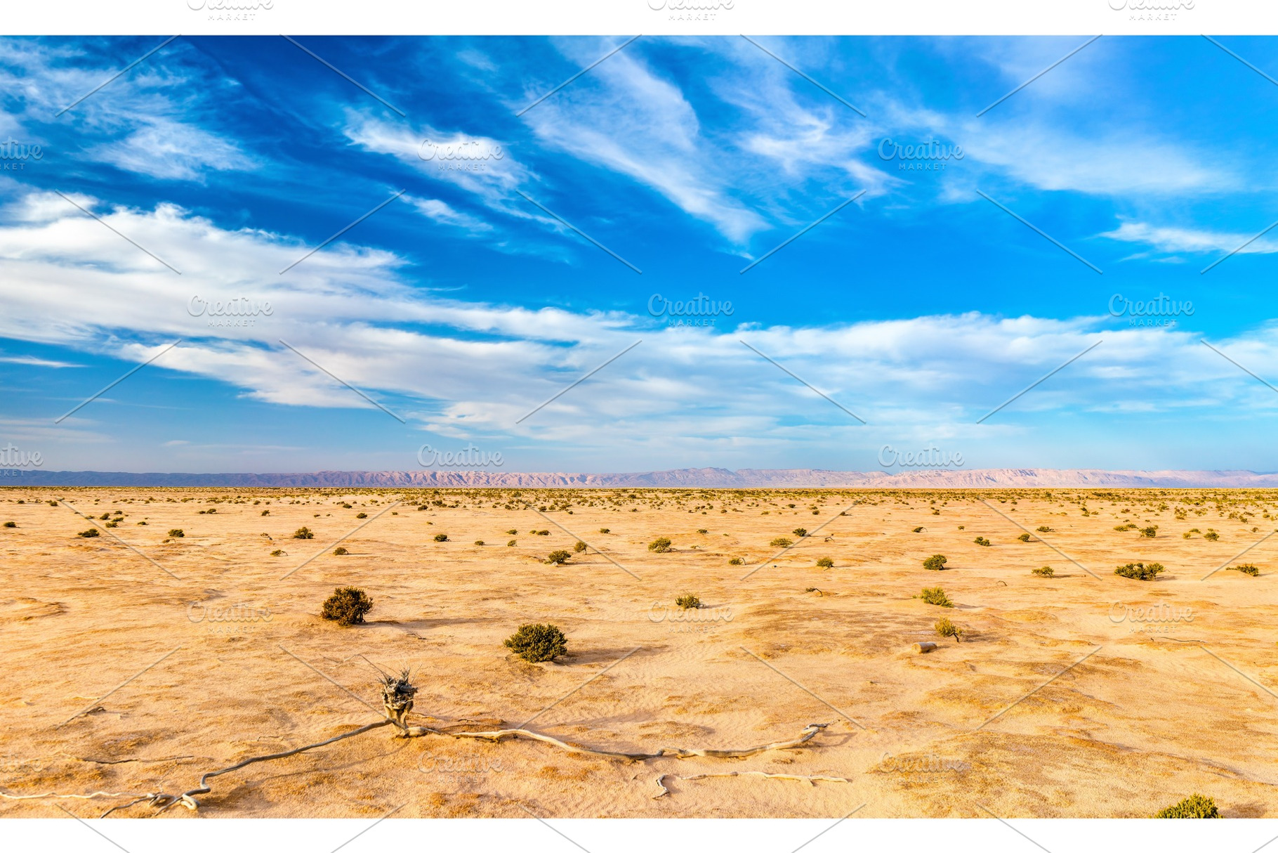 Chott el djerid a dry lake in tunisia stock photo containing tunisia and salt, a Nature Photo by Leonid Andronov
