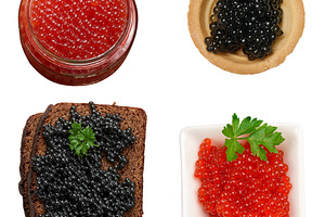 Red and black caviar in a glass jar, rosette, tartlet and on a s, a Food & Drink Photo by ndanko