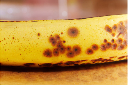 A ripe banana with dark brown spots