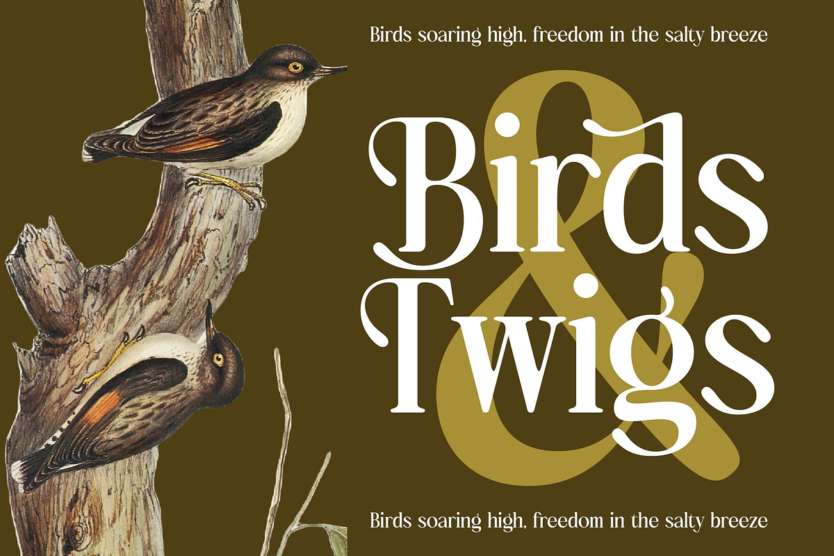 Bulings Nature Vintage Serif, a Serif Font by timelesstype.co (Photo 5 of 20)