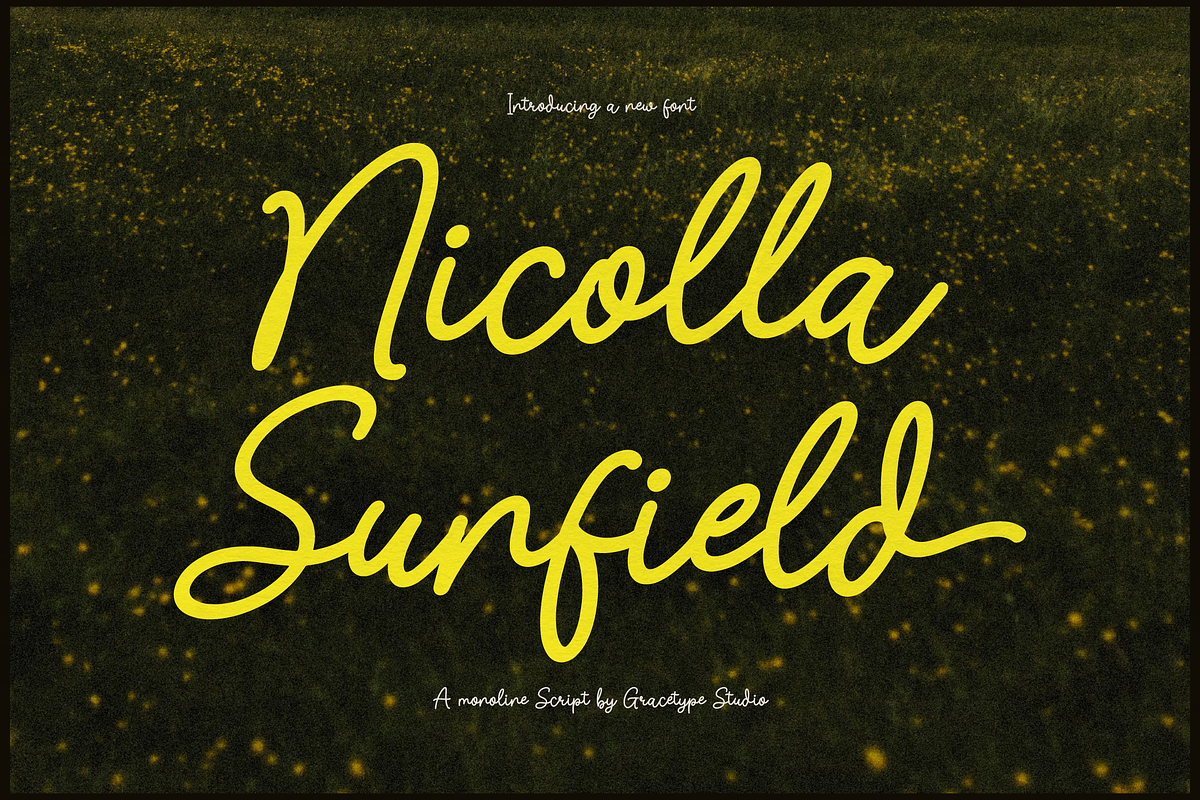 Nicolla Sunfield | Monoline Script, a Script Font by gracetype_studio (Photo 1 of 12)