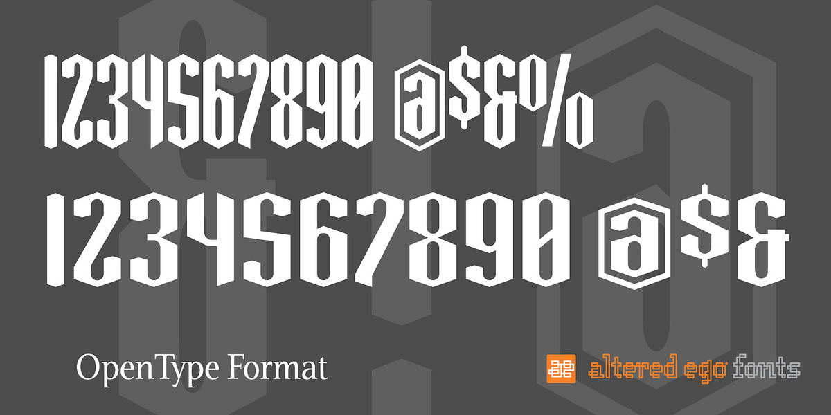 Greenbriar AE, a Blackletter Font by Altered Ego Fonts (Photo 2 of 4)