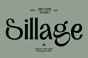 Dx Sillage Elegant Serif Font, a Serif Font by Dirtyline Studio (Thumbnail 1 of 17)