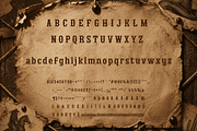 Sparkwolf: A Wanted Poster Font, a Handwritten Font by Letterhanna Studio (Thumbnail 2 of 9)