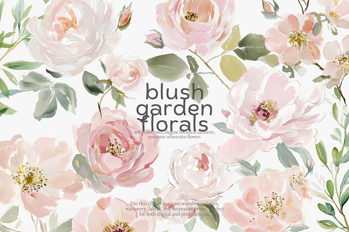 Blush floral clipart set, an Illustration by Patishop Art (Photo 1 of 8)