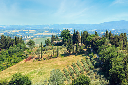 Tuscany countryside, San Gimignano, Italy, a Nature Photo by YuriyB