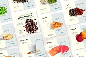 Dual Ingredient Infographic I Canva