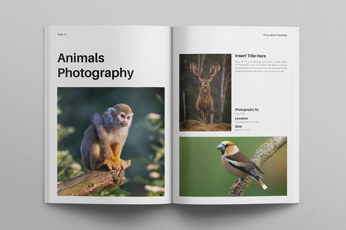 Photo Book Template, a Brochure Template by E-Type (Photo 4 of 7)