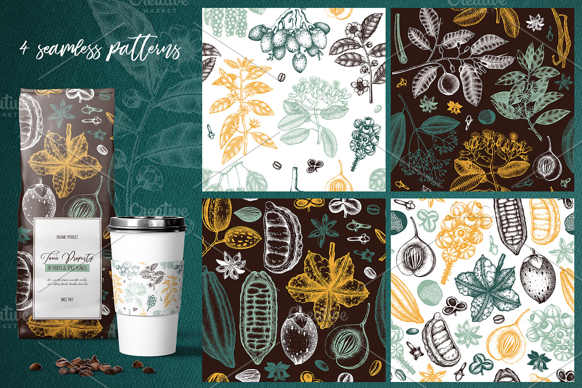 Exotic plant and fruit sketches set, a Food Illustration by Yevheniia (Photo 11 of 11)