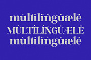 Chamell - Modern Serif Typeface, a Serif Font by Font Kingdom (Thumbnail 2 of 9)