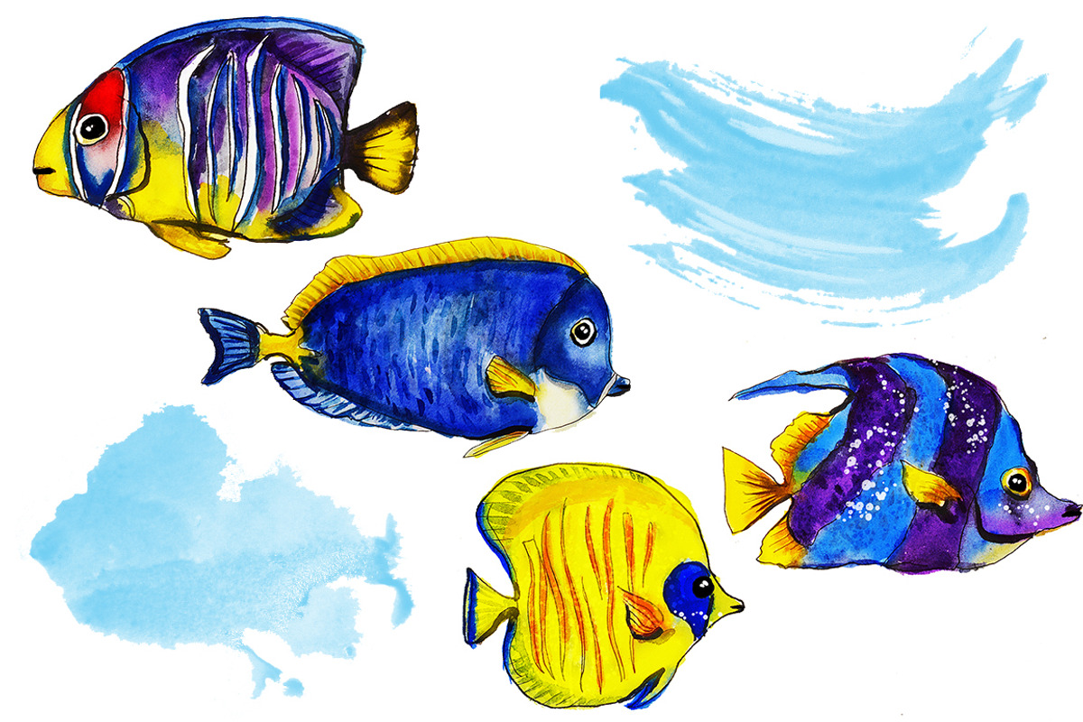 set of watercolor fish and shells, an Animal Illustration by art_mouse (Photo 5 of 7)