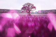 Light Prism Photo Overlays, a Texture Graphic by Craftsy Crafters (Thumbnail 16 of 16)