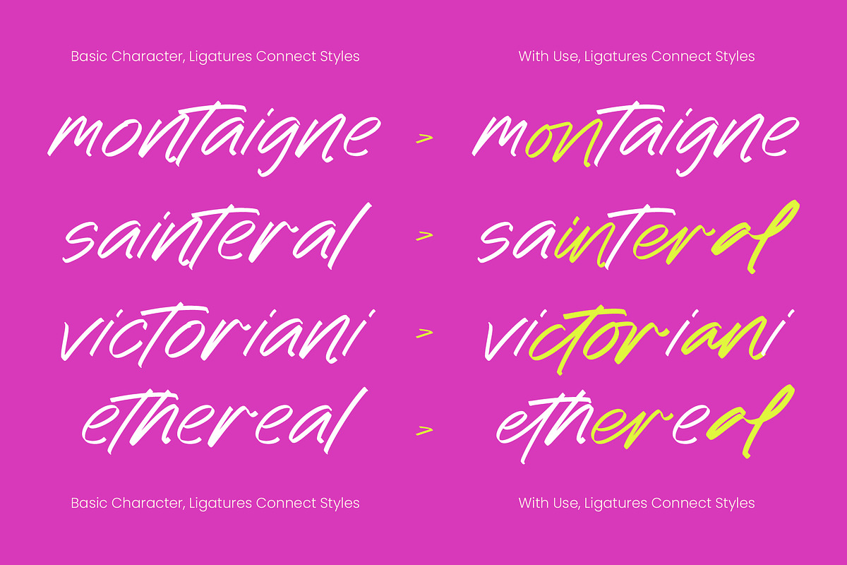 Belle Aurelia Modern Script, a Script Font by Letterena Studios Script (Photo 3 of 10)