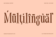 Elient – Elegant Fashion Serif Font, a Serif Font by MaikoHatta (Thumbnail 9 of 9)