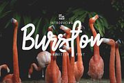 Burston Handwritten Script, a Script Font by Mr.Typeman (Thumbnail 1 of 8)