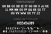 Mister Pudding, a Serif Font by InermediaSTUDIO (Thumbnail 2 of 8)