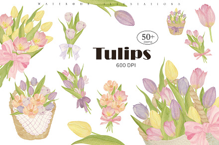 Tulips watercolor collection 600 DPI