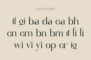 Vindea Ligature Serif Typeface