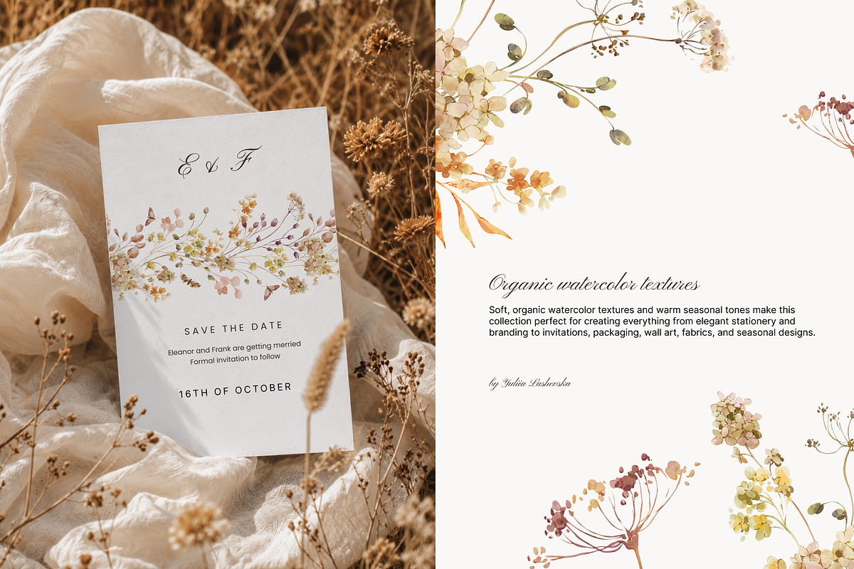 Autumn Meadow Watercolor Florals, a Seasonal Illustration by Yuliia Lashevska (Photo 2 of 14)