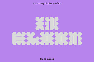 In Bloom - Summer Display Font