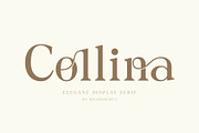 Collina // Ligature Serif Font, a Serif Font by BrandSemut (Thumbnail 1 of 11)