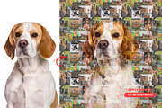 Mosaic Layout Builder PS Script, a Plug-in Add-On by MRI STUDIO (Thumbnail 6 of 20)