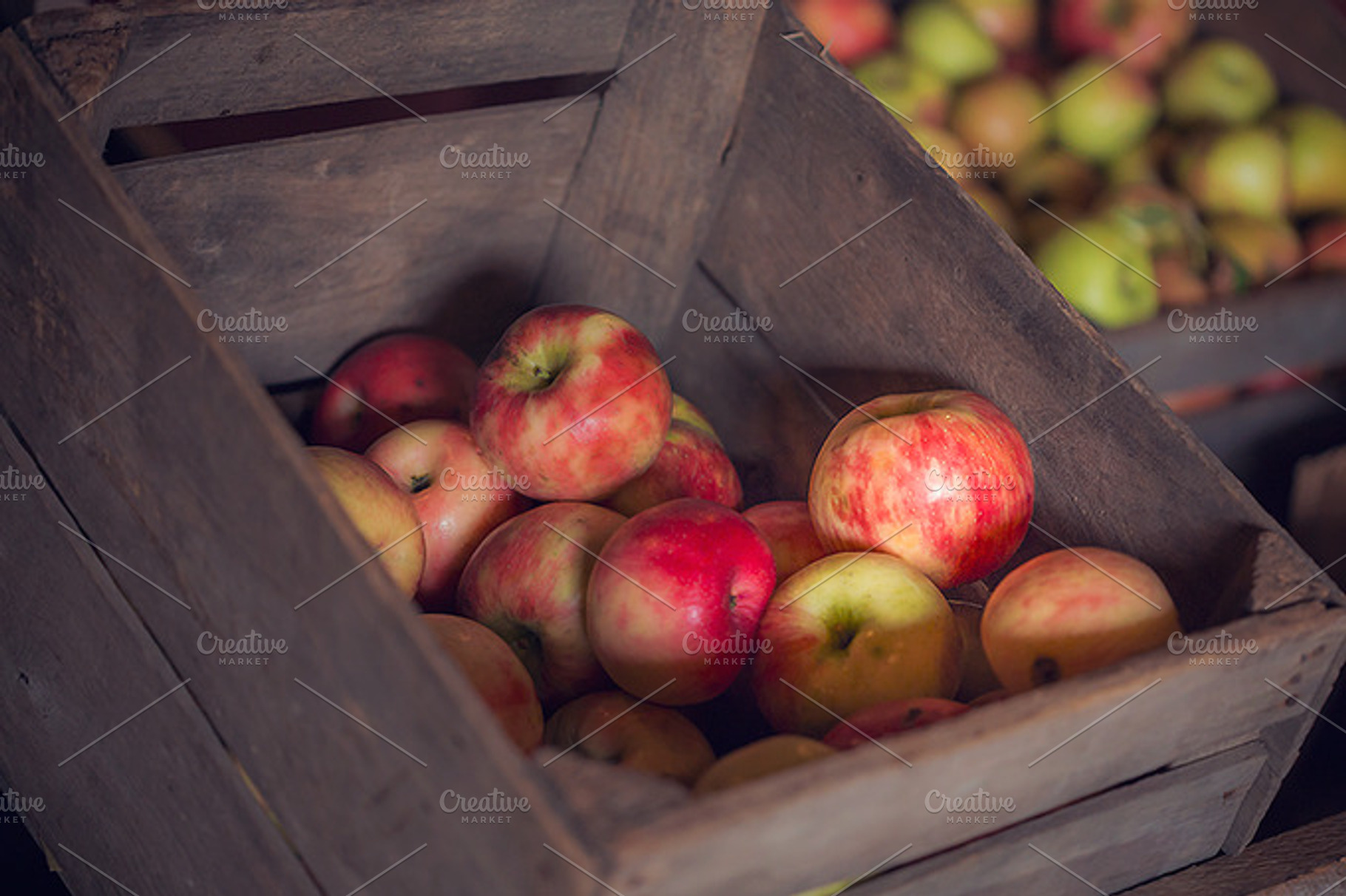 Apples Stock Photo