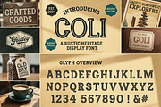 Coli | Modern Luxury Serif, a Serif Font by Astuti Studio (Thumbnail 9 of 22)