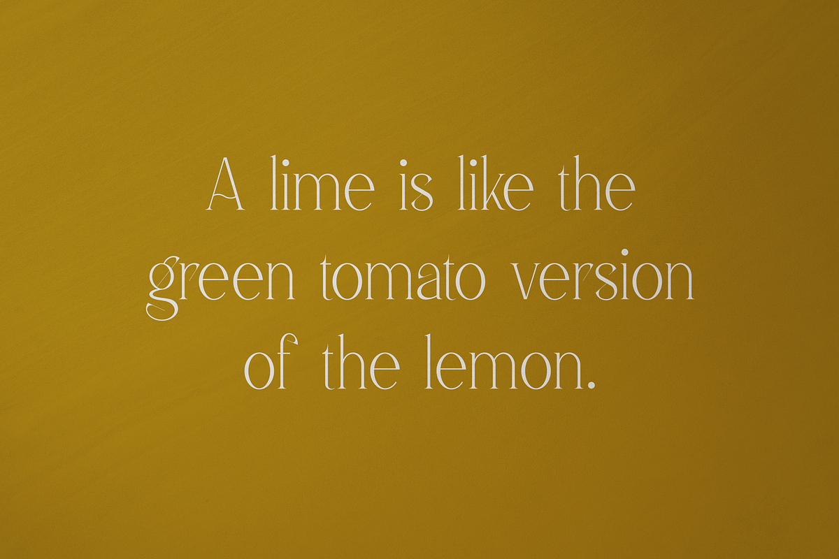 Malinger - Elegant Serif Font, a Serif Font by VP Fonts (Photo 11 of 20)