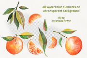 Watercolor Orange Fruit Clipart, a Food Illustration by Dina Guiter (Thumbnail 4 of 10)
