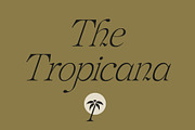 Furlong Vintage Serif Font, a Serif Font by Tropical Type (Thumbnail 6 of 11)