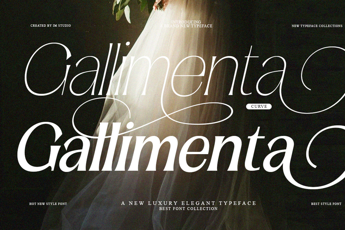 Amilent | 36 Style Font, a Serif Font by IM Studio (Photo 9 of 13)