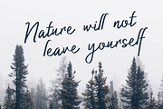 Authorized Signature Script Fonts, a Script Font by Patria Ari (P4tcreativa) (Thumbnail 6 of 10)